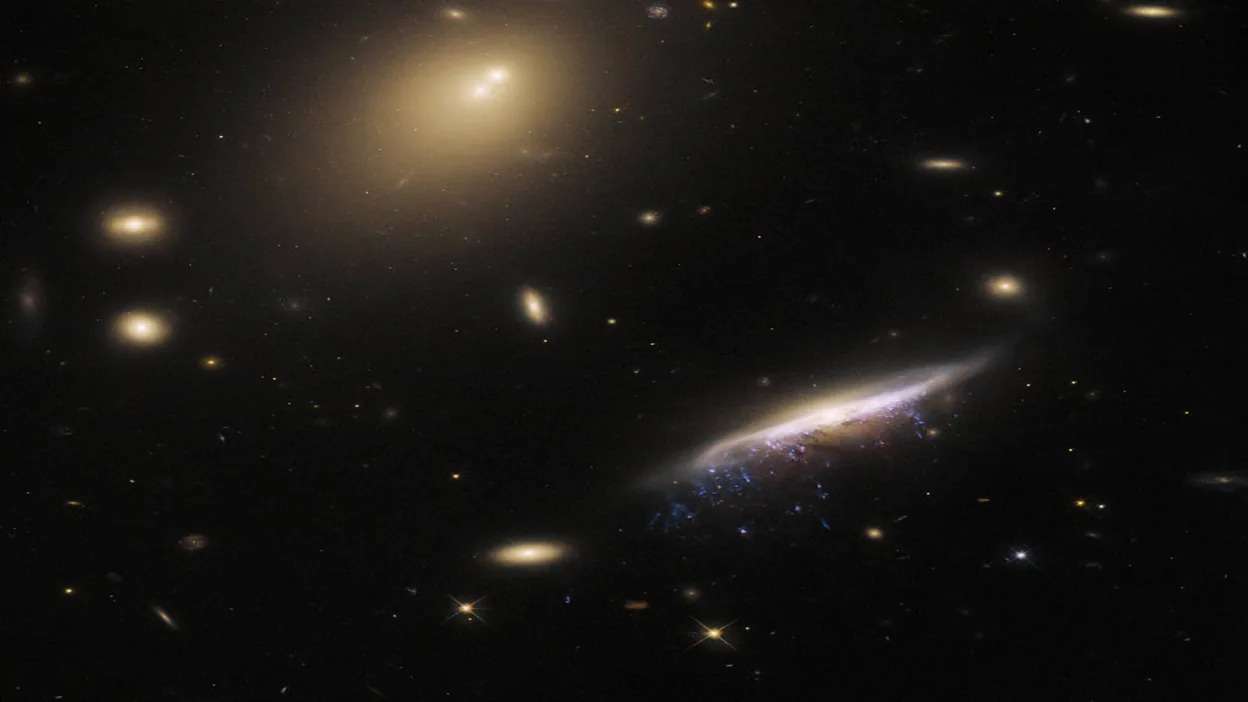 NASA’s Hubble Telescope Captures ‘Jelly Fish Galaxy’ That Has Dangling Tentacles