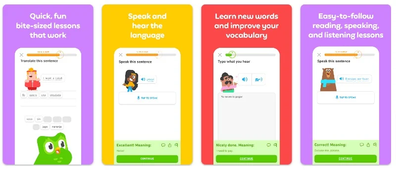 Duolingo: A Fun Odyssey of Language Learning
